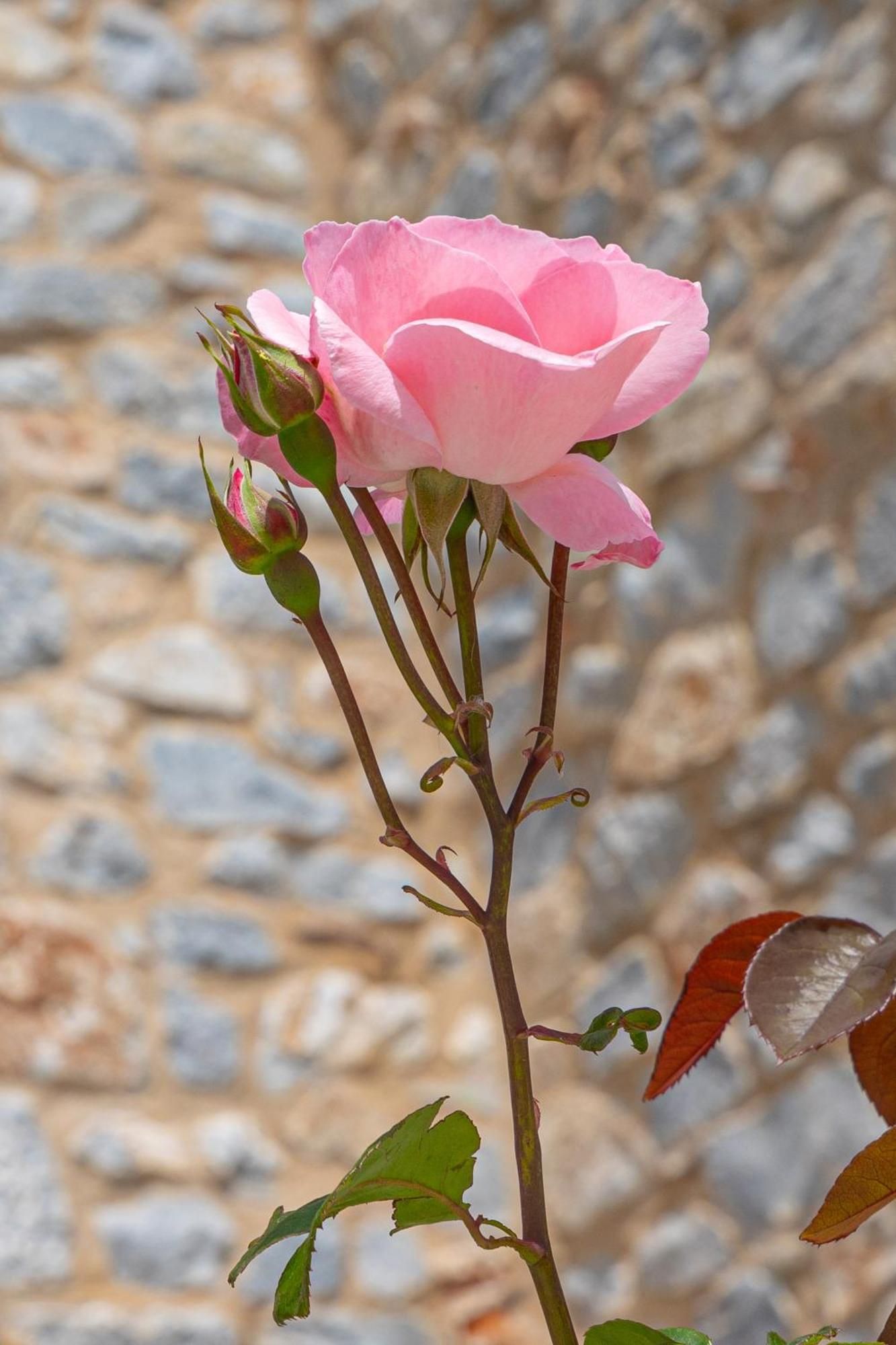 Castello Antico Otel